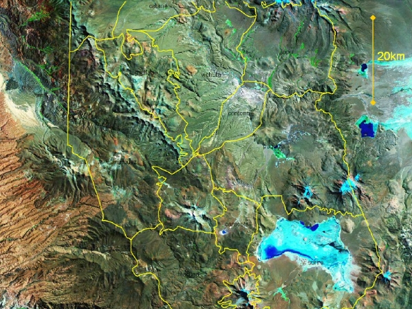 vicuna census locations, Surire, Chile I Region